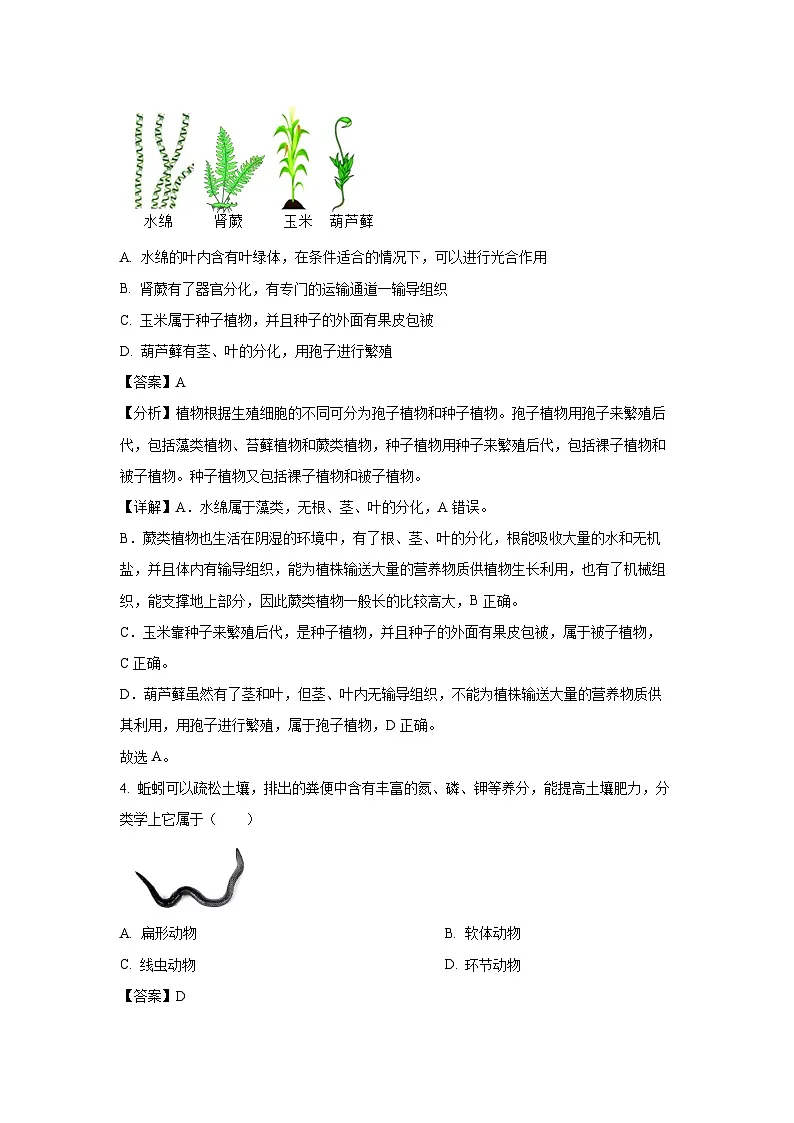 2025年湖北省黄石市黄石港区部分学校中考一模[中考模拟]生物试卷（解析版）第2页