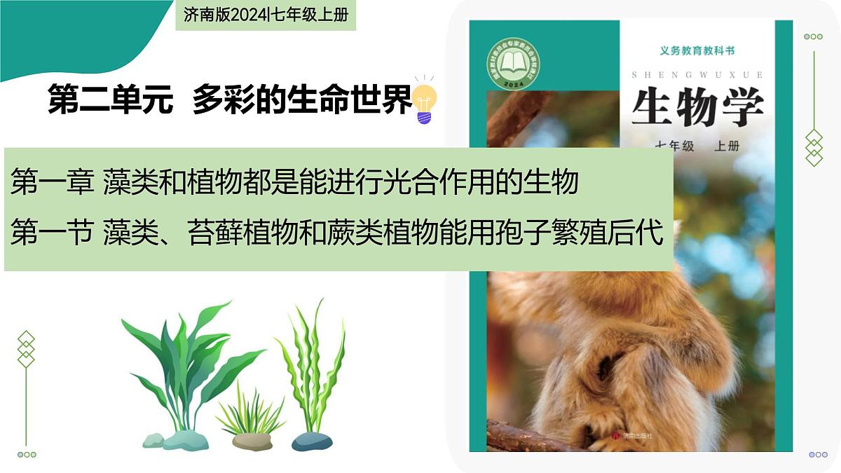 2.1.1 藻类、苔藓植物和蕨类植物能用孢子繁殖后代 第1课时（教学课件）-2025-2026学年七年级生物上册（济南版2024）第1页