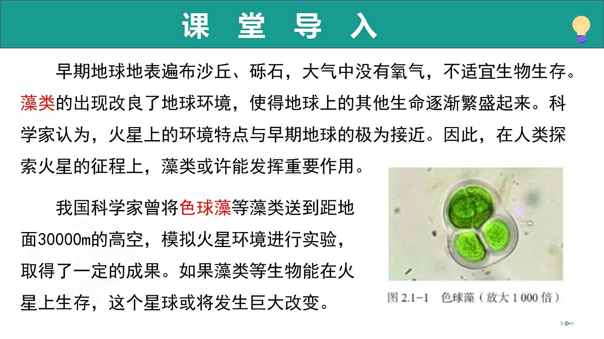 2.1.1 藻类、苔藓植物和蕨类植物能用孢子繁殖后代 第1课时（教学课件）-2025-2026学年七年级生物上册（济南版2024）第5页