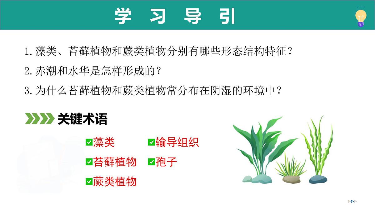 2.1.1 藻类、苔藓植物和蕨类植物能用孢子繁殖后代 第1课时（教学课件）-2025-2026学年七年级生物上册（济南版2024）第6页