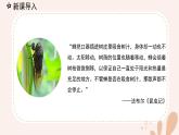 【核心素養(yǎng)目標(biāo)】魯科版生物六年級上冊1.1.2《觀察周邊環(huán)境中的生物》課件