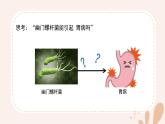 【核心素養(yǎng)目標(biāo)】魯科版生物六年級上冊1.2.1《生物學(xué)中的科學(xué)思維》課件