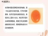 【核心素養(yǎng)目標(biāo)】魯科版生物六年級上冊2.1.2《動物細(xì)胞》課件