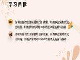 【核心素養(yǎng)目標(biāo)】魯科版生物六年級上冊2.1.3《細(xì)胞的生活》課件