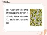 【核心素養(yǎng)目標(biāo)】魯科版生物六年級上冊2.1.1《植物細(xì)胞》課件