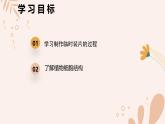 【核心素養(yǎng)目標(biāo)】魯科版生物六年級上冊2.1.1《植物細(xì)胞》課件