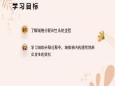 【核心素養(yǎng)目標(biāo)】魯科版生物六年級上冊2.2.1《細(xì)胞的分裂和生長》課件