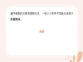 【核心素養(yǎng)目標(biāo)】魯科版生物六年級上冊2.2.1《細(xì)胞的分裂和生長》課件
