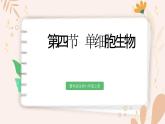 【核心素養(yǎng)目標(biāo)】魯科版生物六年級上冊2.2.4《單細(xì)胞生物》課件