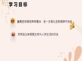 【核心素養(yǎng)目標(biāo)】魯科版生物六年級上冊2.2.4《單細(xì)胞生物》課件