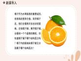 【核心素養(yǎng)目標(biāo)】魯科版生物六年級上冊2.2.3《植物體的結(jié)構(gòu)層次》課件