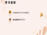 【核心素養(yǎng)目標(biāo)】魯科版生物六年級上冊2.2.3《植物體的結(jié)構(gòu)層次》課件