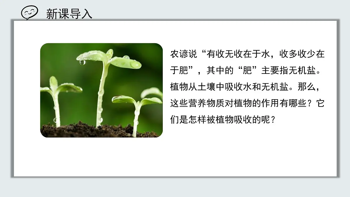 【核心素养目标】北京版初中生物七年级上册2.1.1《植物所需的水和无机盐》课件第1页
