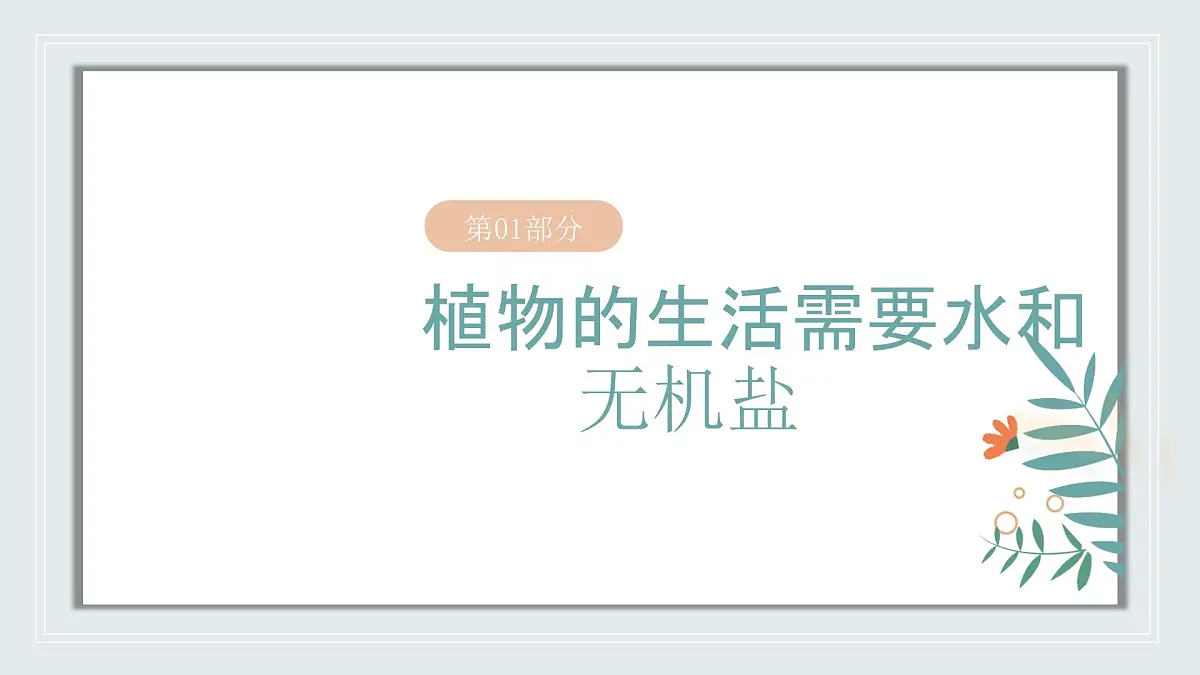 【核心素养目标】北京版初中生物七年级上册2.1.1《植物所需的水和无机盐》课件第4页