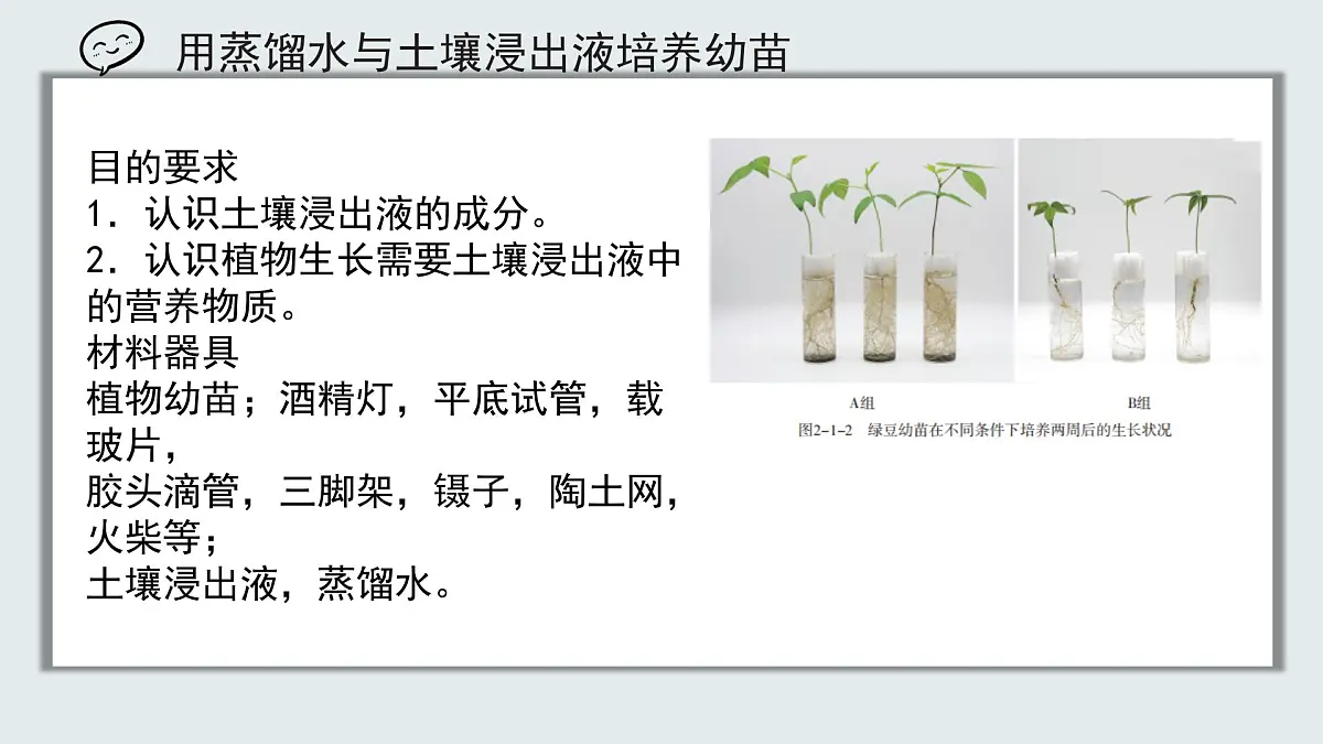 【核心素养目标】北京版初中生物七年级上册2.1.1《植物所需的水和无机盐》课件第7页