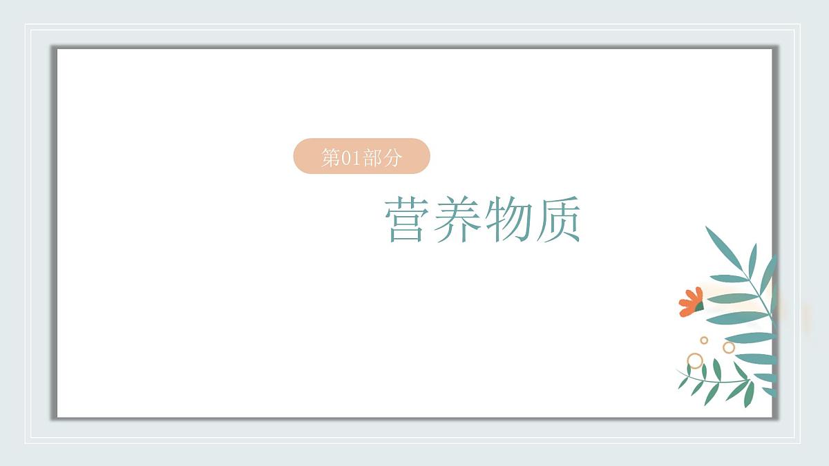 【核心素养目标】北京版初中生物七年级上册2.1.3《人所需的营养》课件第4页