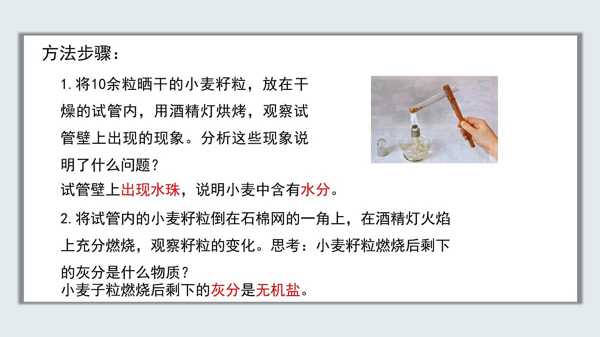 【核心素养目标】北京版初中生物七年级上册2.1.3《人所需的营养》课件第7页