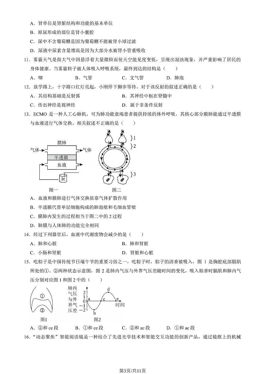 2025北京石景山初一（下）期末生物试卷（教师版）第3页
