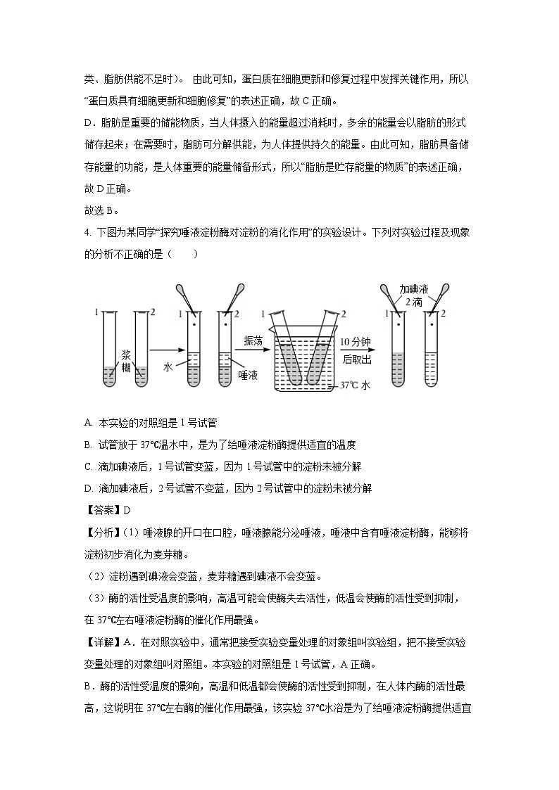 重庆市渝北区2024--2025学年七年级下学期期末生物试卷（解析版）第3页