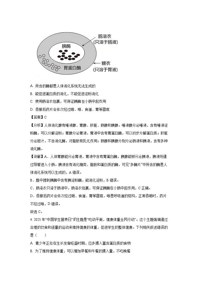 重庆市万州区2024-2025学年七年级下学期期末生物试卷（解析版）第3页