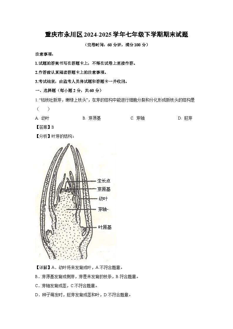 重庆市永川区2024-2025学年七年级下学期期末生物试卷（解析版）第1页