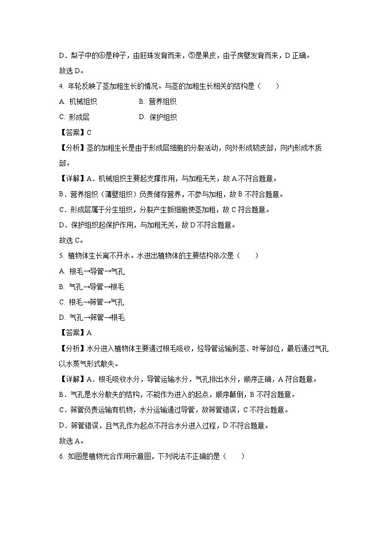 重庆市永川区2024-2025学年七年级下学期期末生物试卷（解析版）第3页