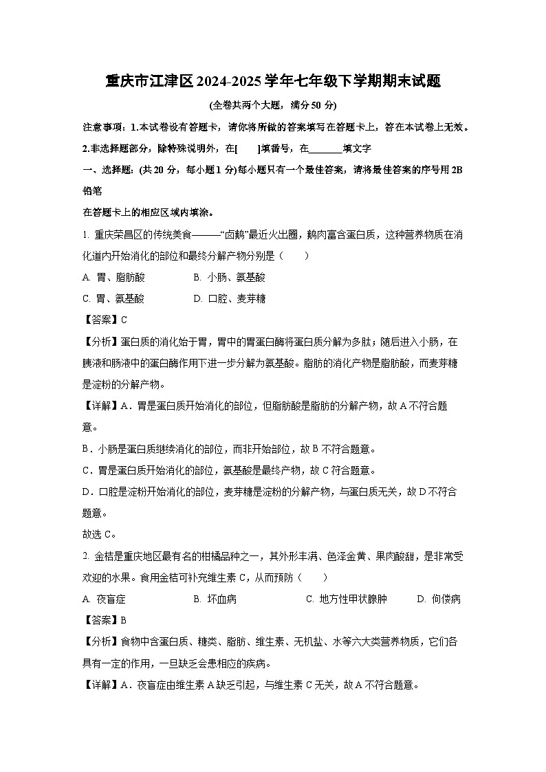 重庆市江津区2024-2025学年七年级下学期期末生物试卷（解析版）第1页