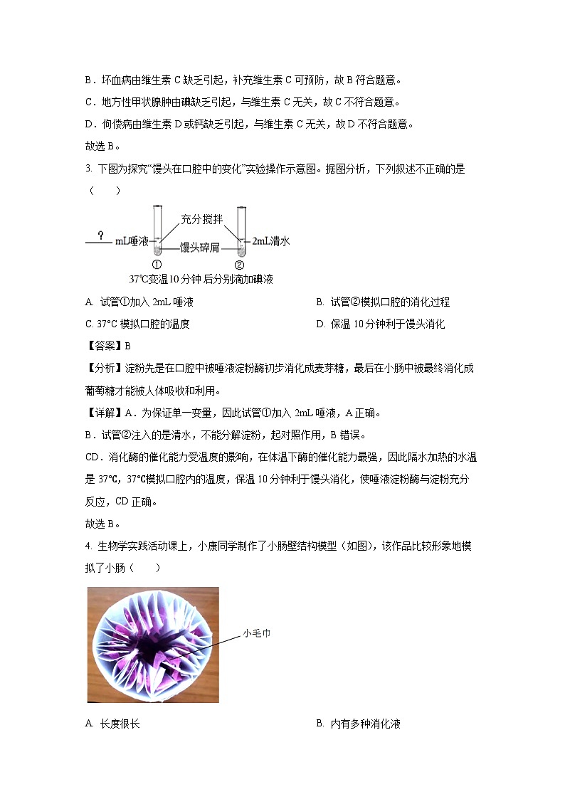 重庆市江津区2024-2025学年七年级下学期期末生物试卷（解析版）第2页