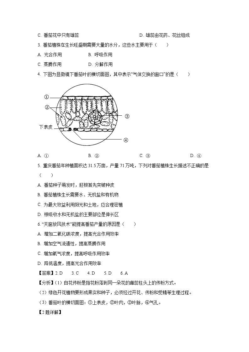 重庆市巴南区2024-2025学年七年级下学期期末生物试卷（解析版）第2页