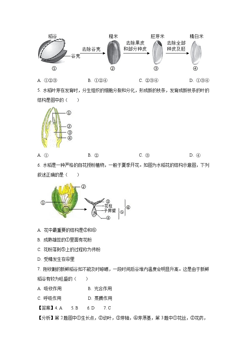 山西省运城市盐湖区部分学校2024-2025学年七年级下学期期末生物试卷（解析版）第3页