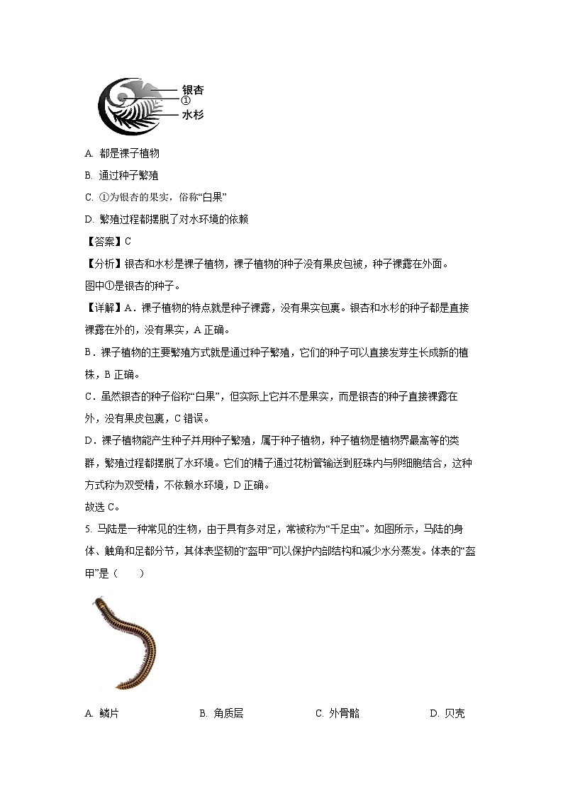 江苏省泰州市靖江市2024-2025学年七年级下学期期末生物试卷（解析版）第3页