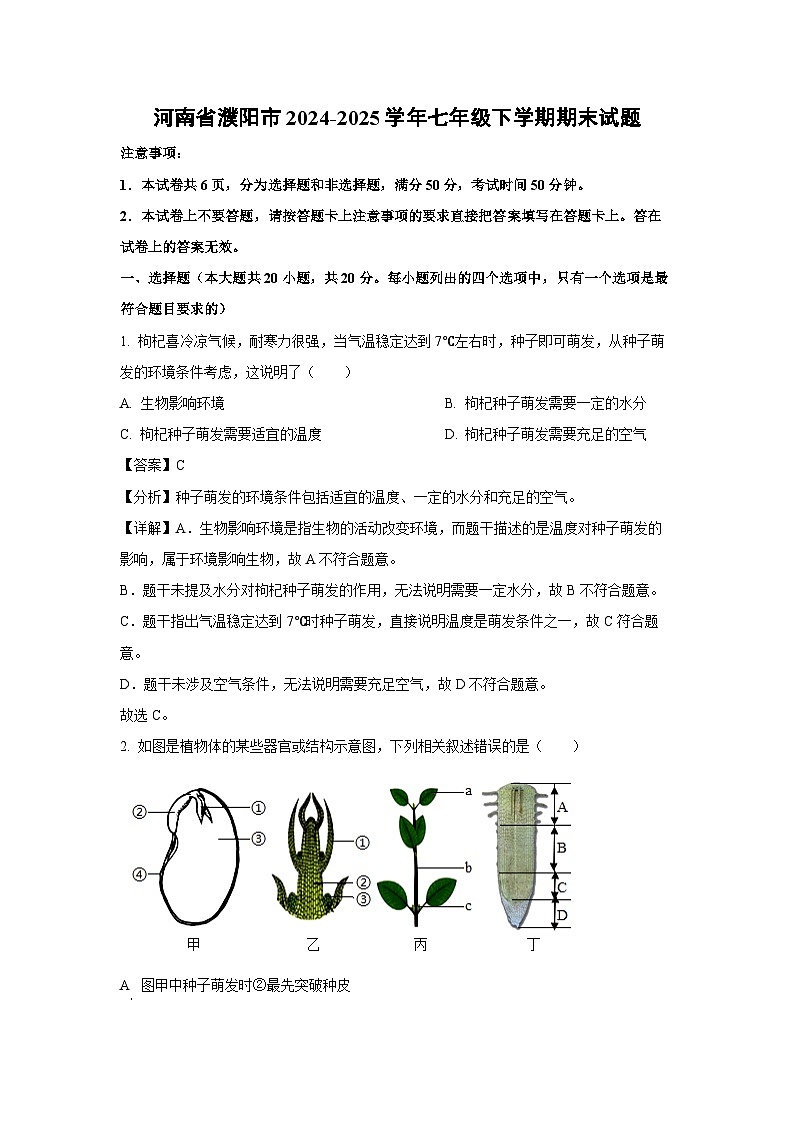河南省濮阳市2024-2025学年七年级下学期期末生物试卷（解析版）第1页