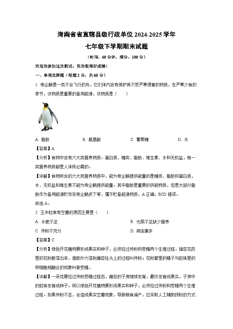 海南省省直辖县级行政单位2024-2025学年七年级下学期期末生物试卷（解析版）第1页