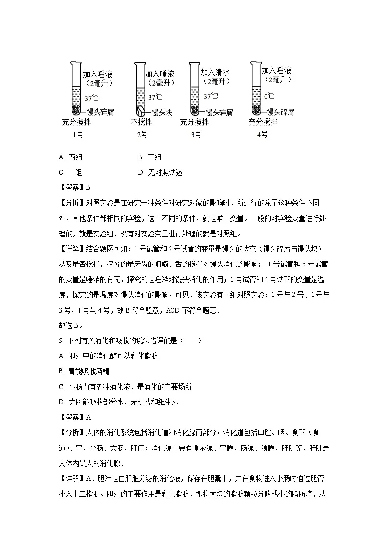 安徽省淮北市五校联考2024-2025学年七年级下学期期末生物试卷（解析版）第3页