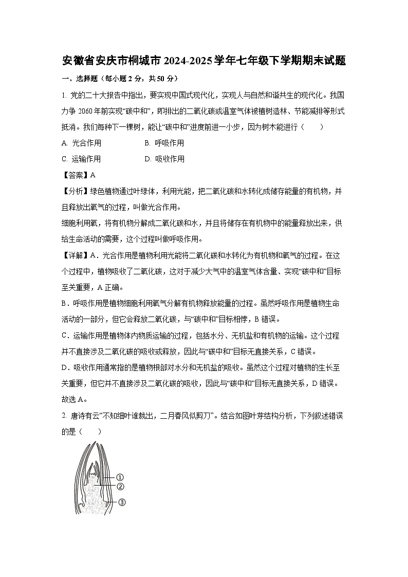 安徽省安庆市桐城市2024-2025学年七年级下学期期末生物试卷（解析版）第1页