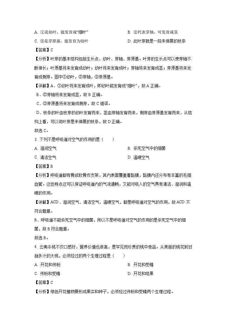 安徽省安庆市桐城市2024-2025学年七年级下学期期末生物试卷（解析版）第2页