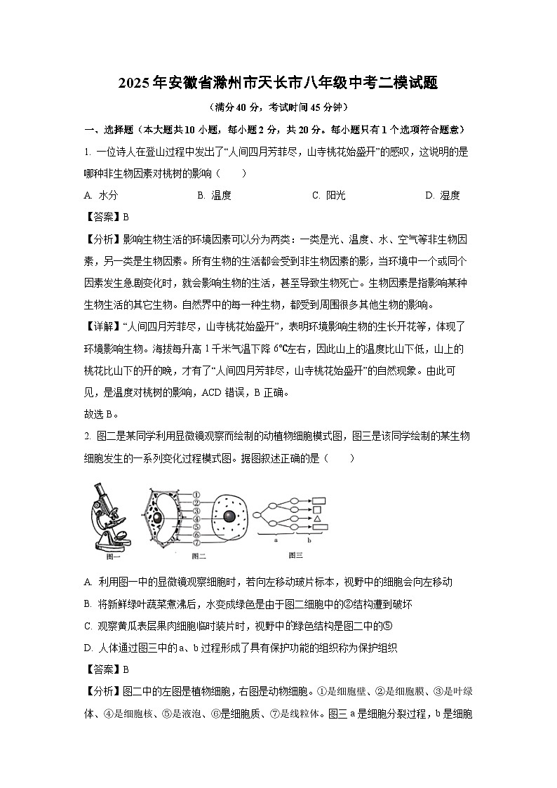 2025年安徽省滁州市天长市八年级中考二模[中考模拟]生物试卷（解析版）第1页