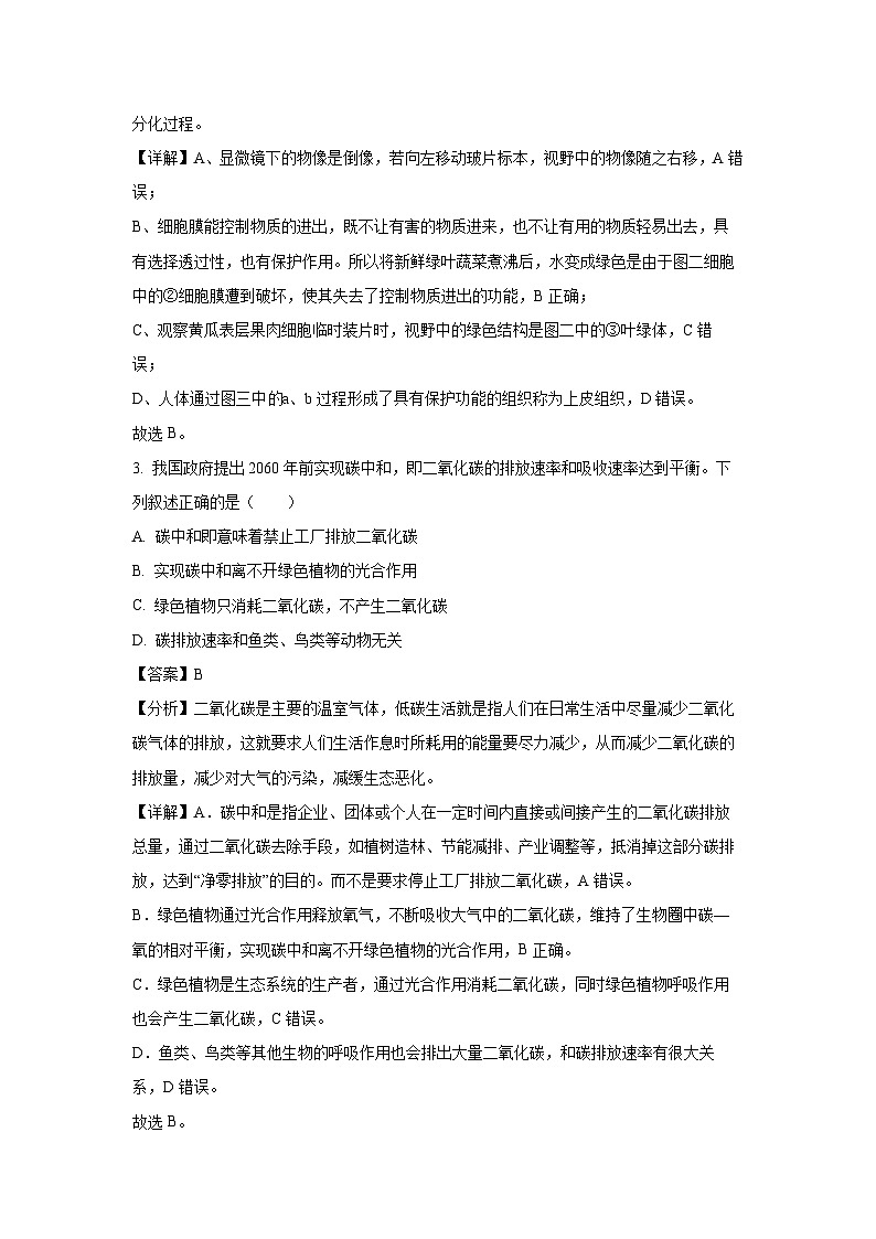 2025年安徽省滁州市天长市八年级中考二模[中考模拟]生物试卷（解析版）第2页