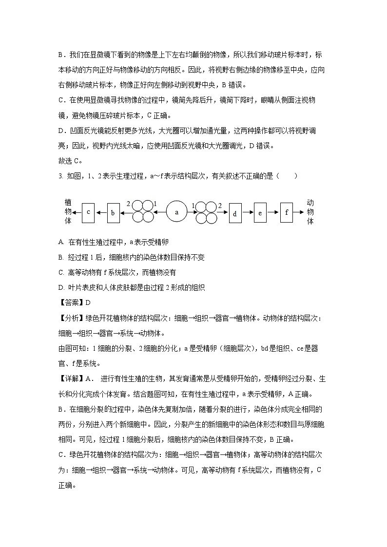 2025年广西钦州市浦北县八年级中考三模生物试卷（解析版）第2页