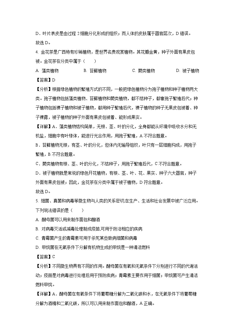 2025年广西钦州市浦北县八年级中考三模生物试卷（解析版）第3页