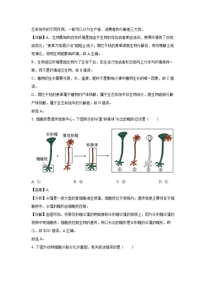 2025年湖南省常德市安乡县八年级中考二模[中考模拟]生物试卷（解析版）第2页
