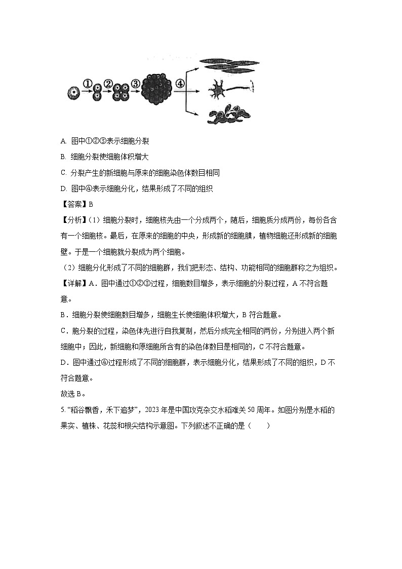 2025年湖南省常德市安乡县八年级中考二模[中考模拟]生物试卷（解析版）第3页