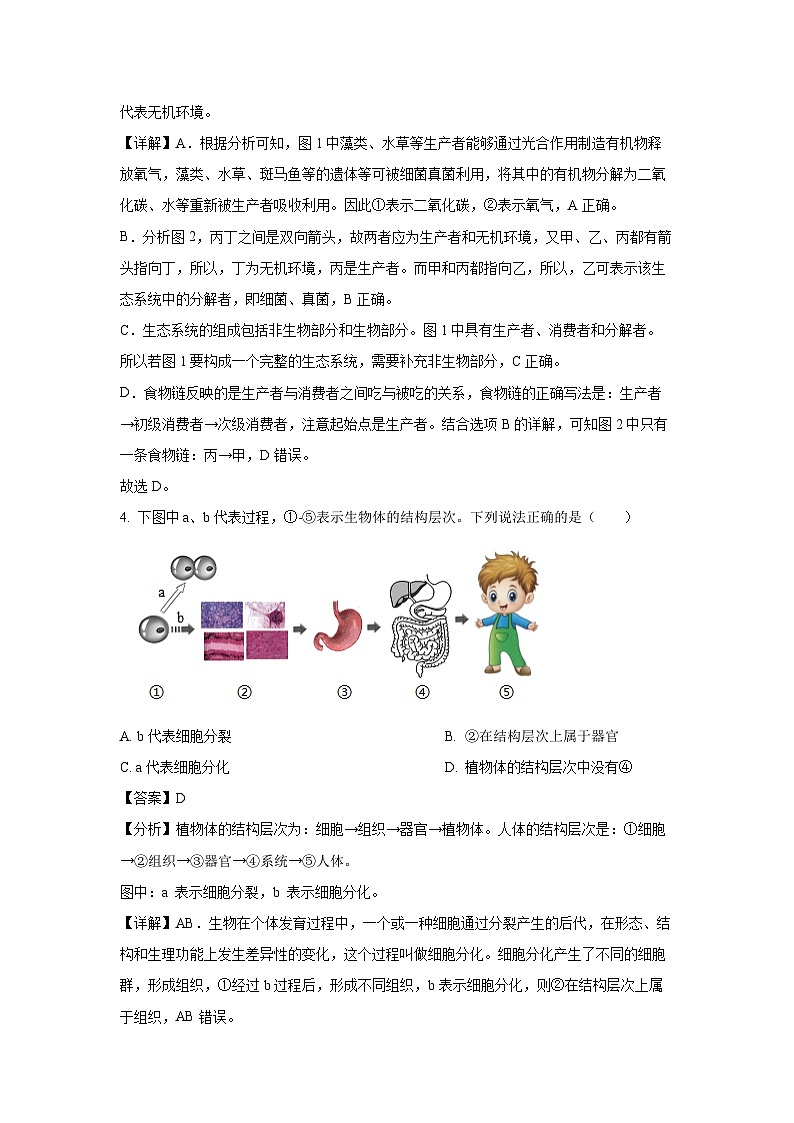 2025年湖南省娄底市新化县八年级中考二模[中考模拟]生物试卷（解析版）第3页