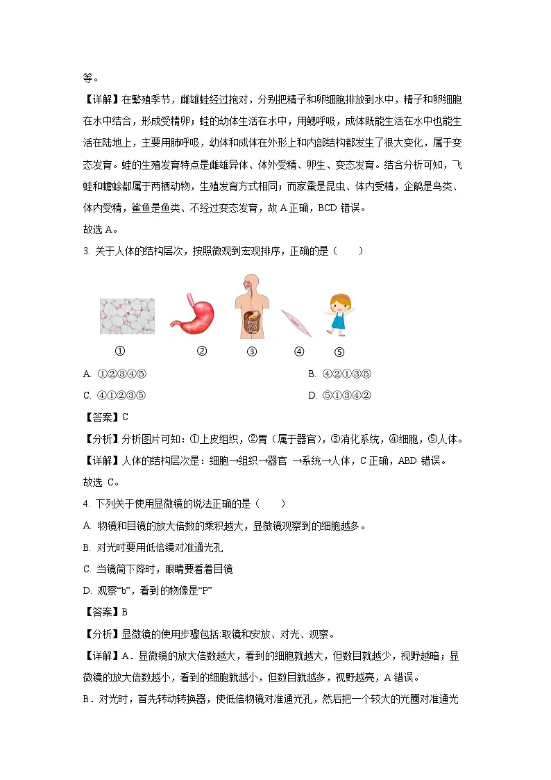 2025年广西壮族自治区贺州市昭平县中考二模生物试卷（解析版）第2页