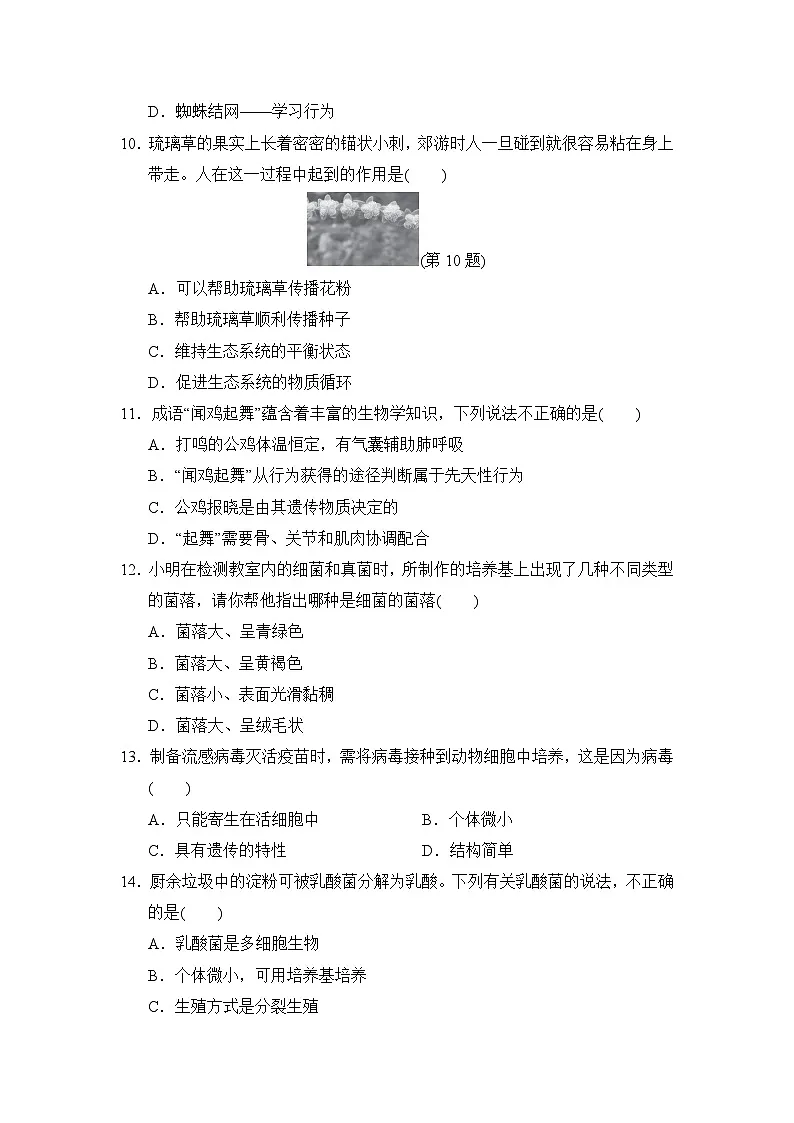 2024-2025学年八年级生物上册第一学期 期末综合模拟测试卷（ 人教版）第3页