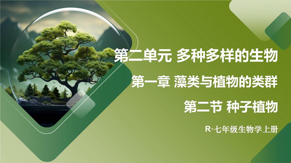 2025年秋人教七年级生物上册 第二节 种子植物（课件）第1页