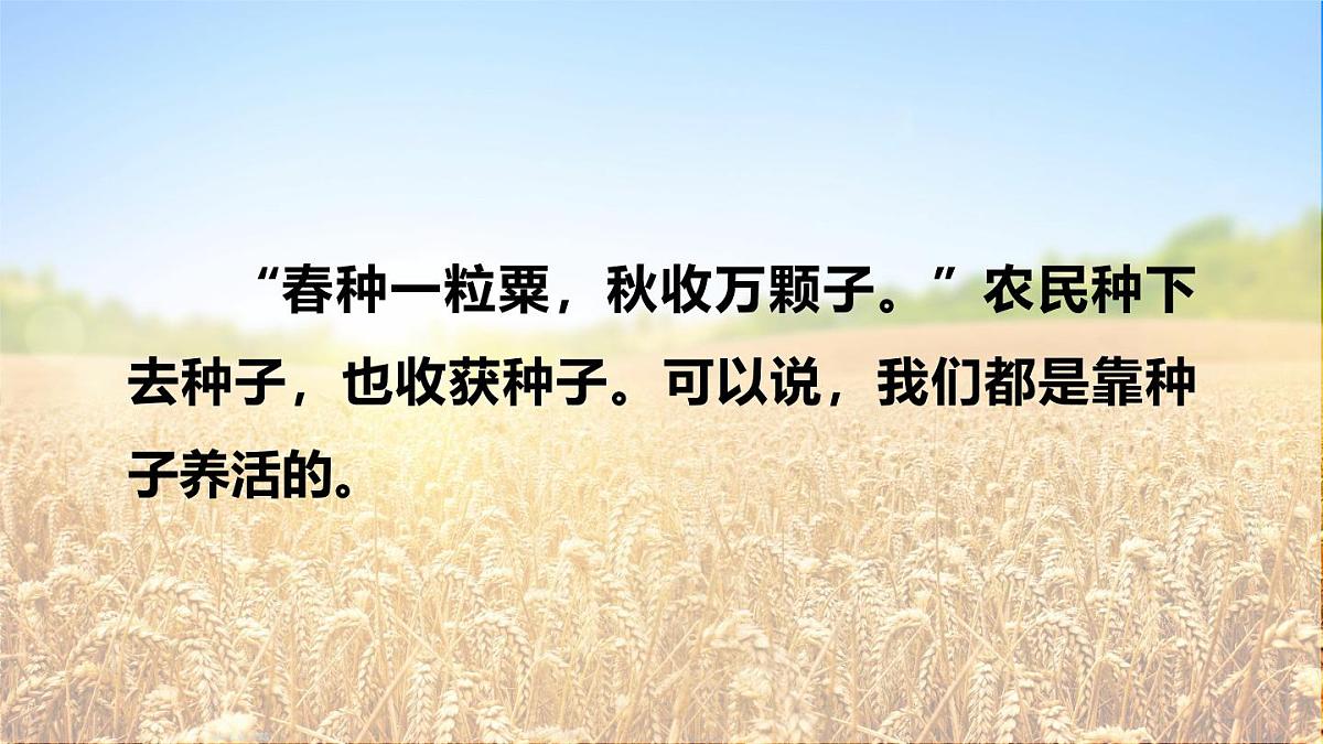 2025年秋人教七年级生物上册 第二节 种子植物（课件）第6页