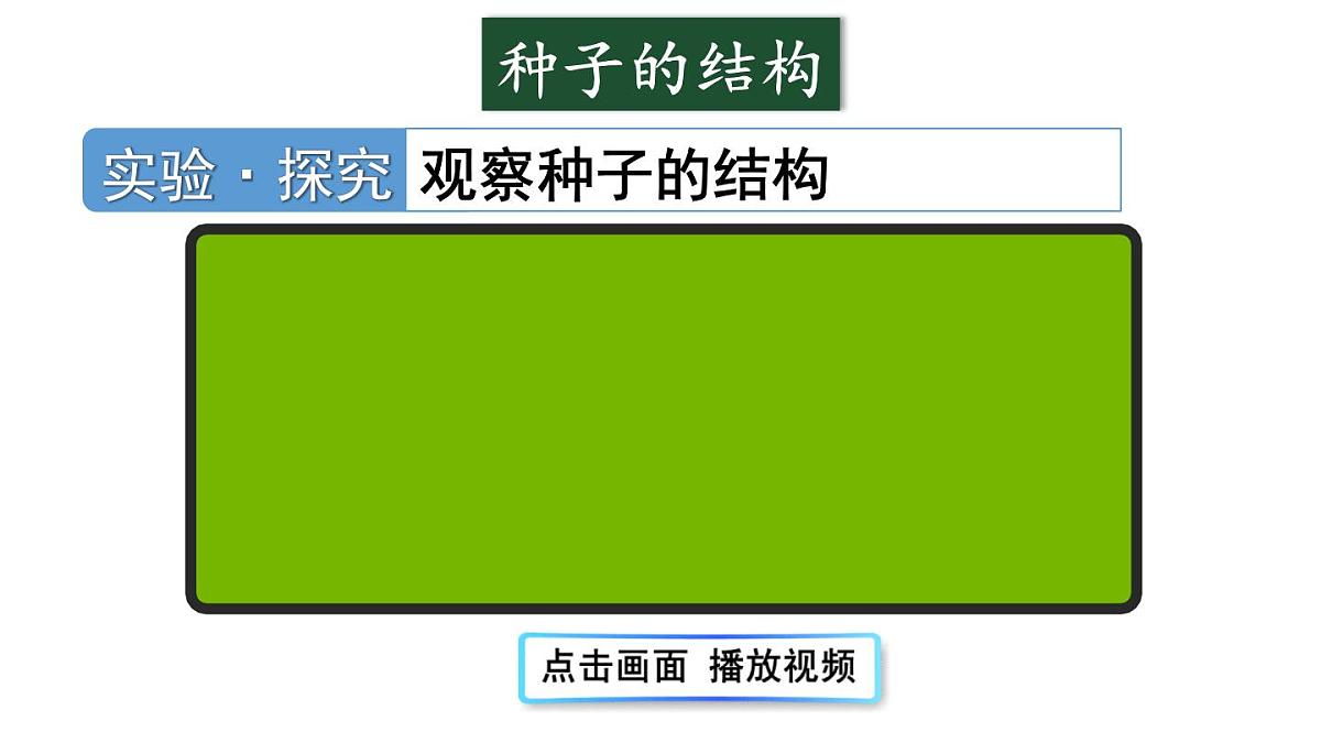 2025年秋人教七年级生物上册 第二节 种子植物（课件）第8页