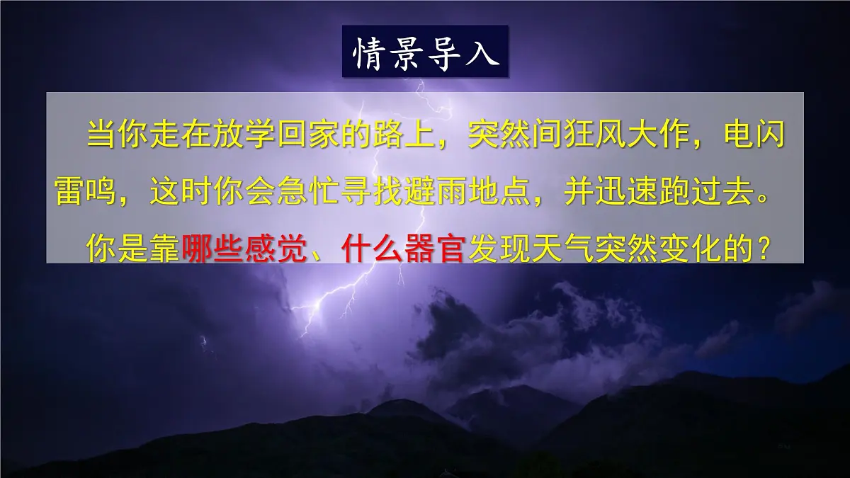 第1课时 眼和视觉第3页