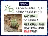 人教版（2024）生物八年年級上冊 4.6.2 神經(jīng)調(diào)節(jié) （課件）